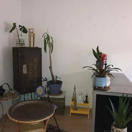Gemuetliche Und Mit Charme Eingerichtete Wuppertal